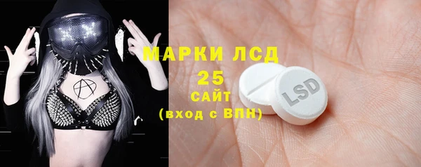 ПСИЛОЦИБИНОВЫЕ ГРИБЫ Верея
