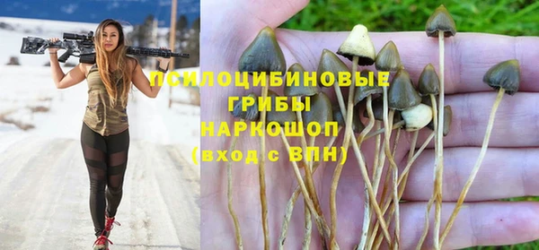 не бодяженный Верхний Тагил