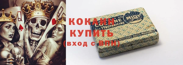 ПСИЛОЦИБИНОВЫЕ ГРИБЫ Верея