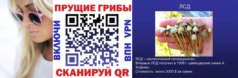 Псилоцибиновые грибы Magic Shrooms  маркетплейс формула  Коломна 
